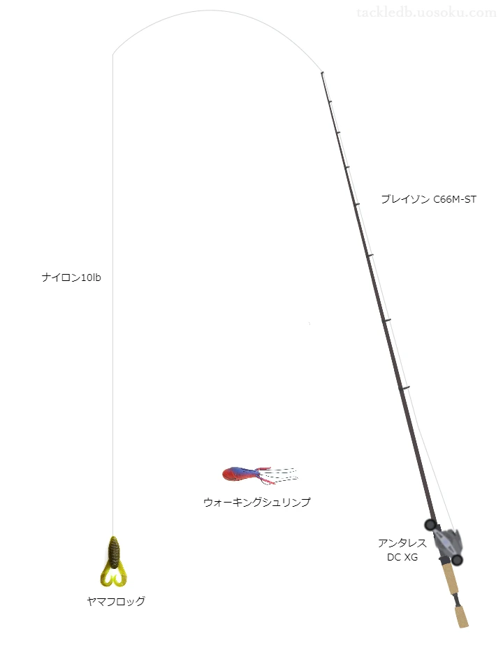 バス釣りに関するタックル、仕掛け図解