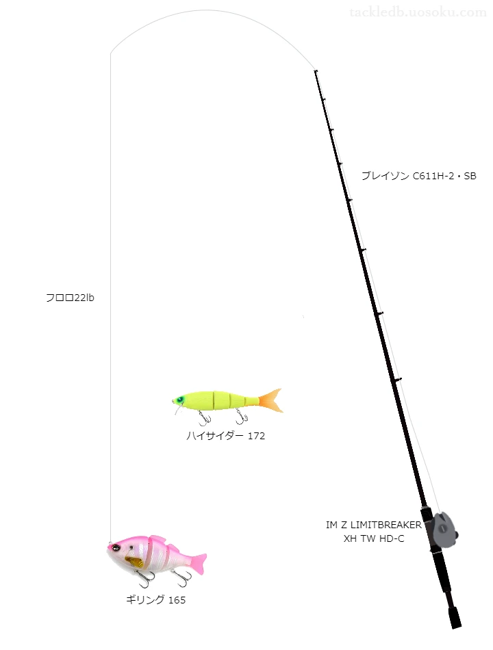 バス釣りに関するタックル、仕掛け図解