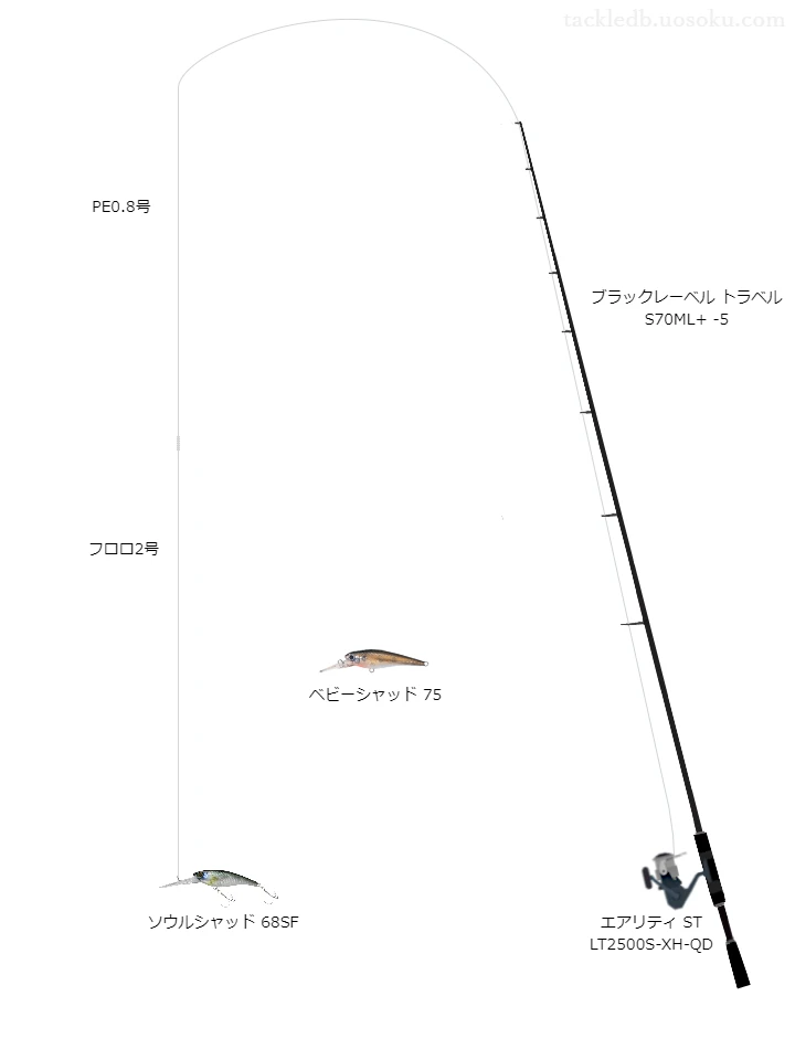 ソウルシャッド68SFのためのバス釣りタックル【シャッド】