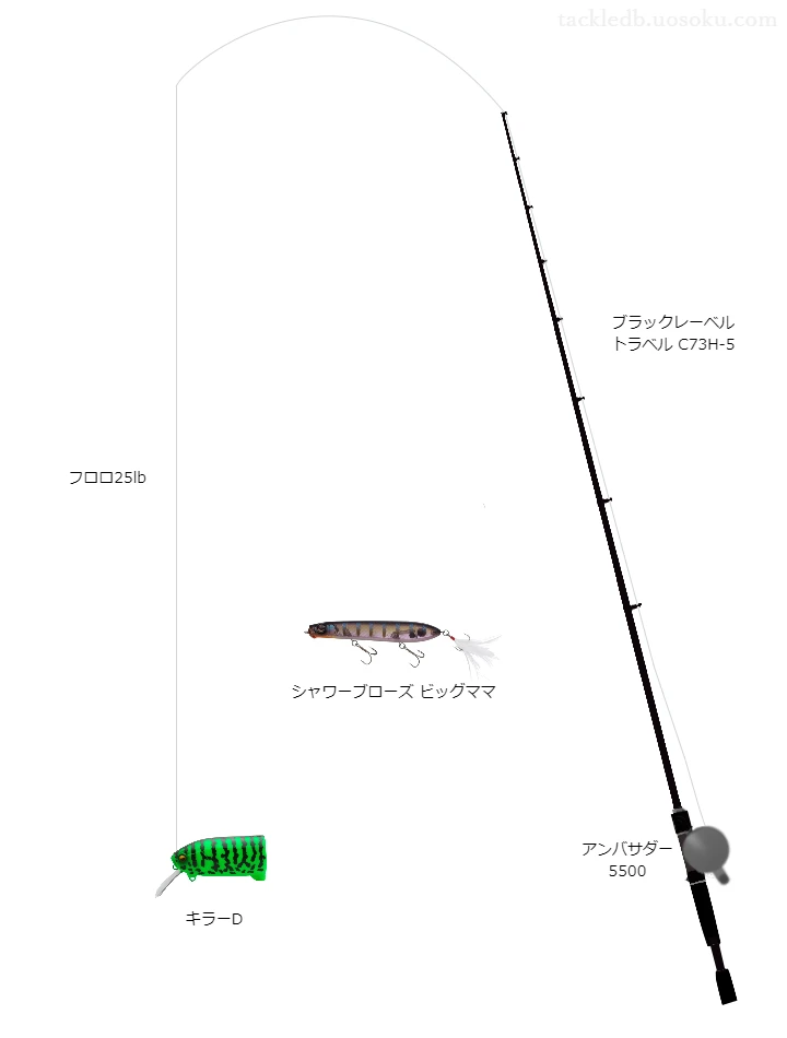 ブラックレーベルトラベルC73H-5とアンバサダー5500及びキラーDによるバス釣りタックル