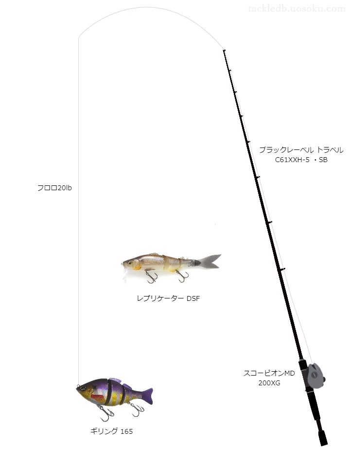 バス釣りに関するタックル、仕掛け図解