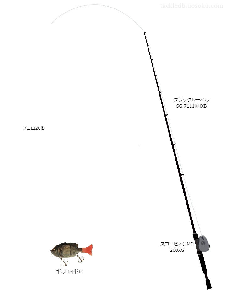 バス釣りに関するタックル、仕掛け図解