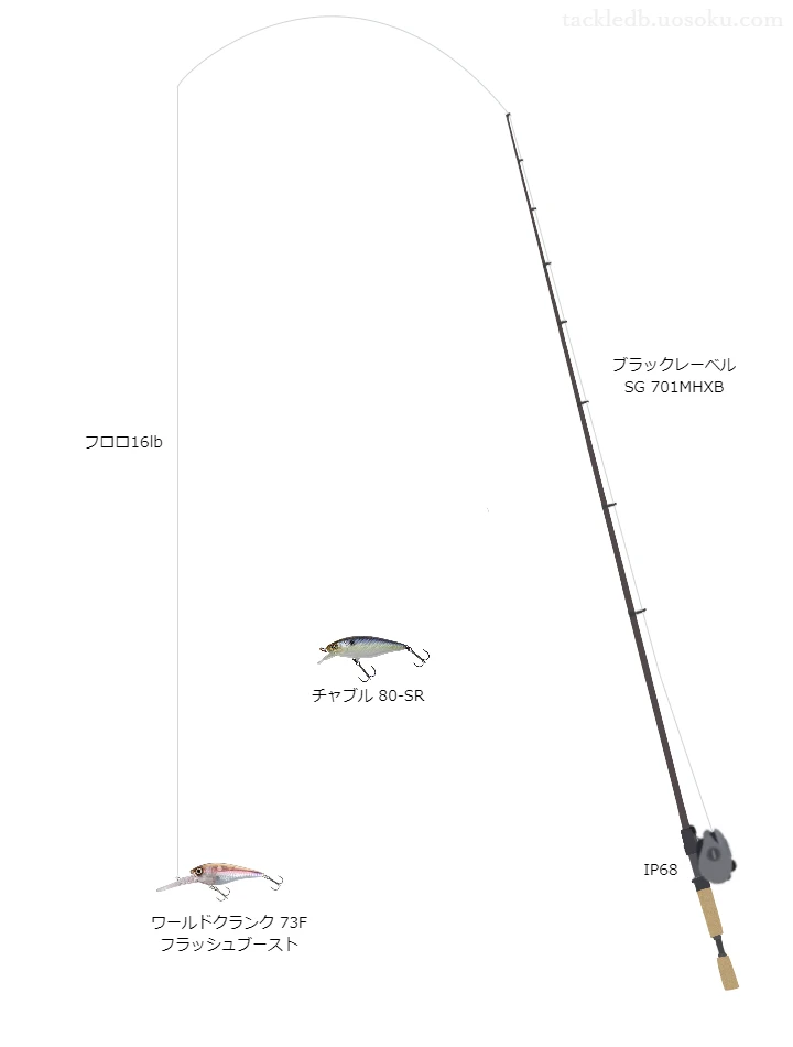 バス釣りに関するタックル、仕掛け図解