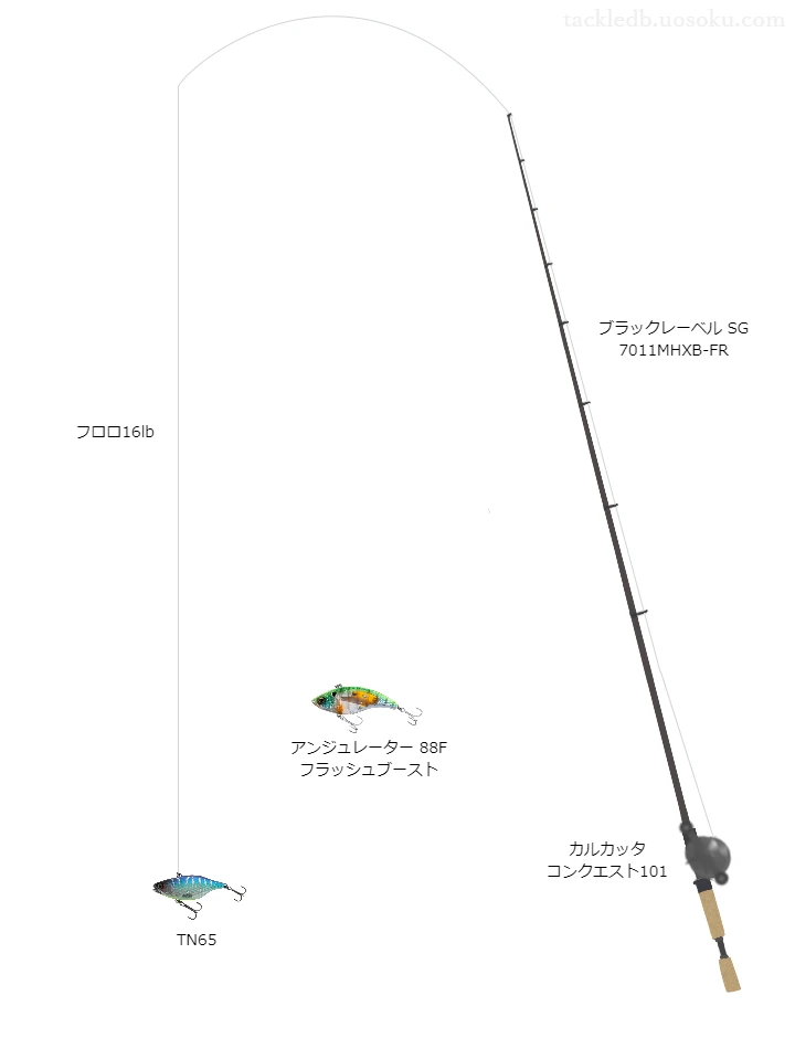 バス釣りに関するタックル、仕掛け図解