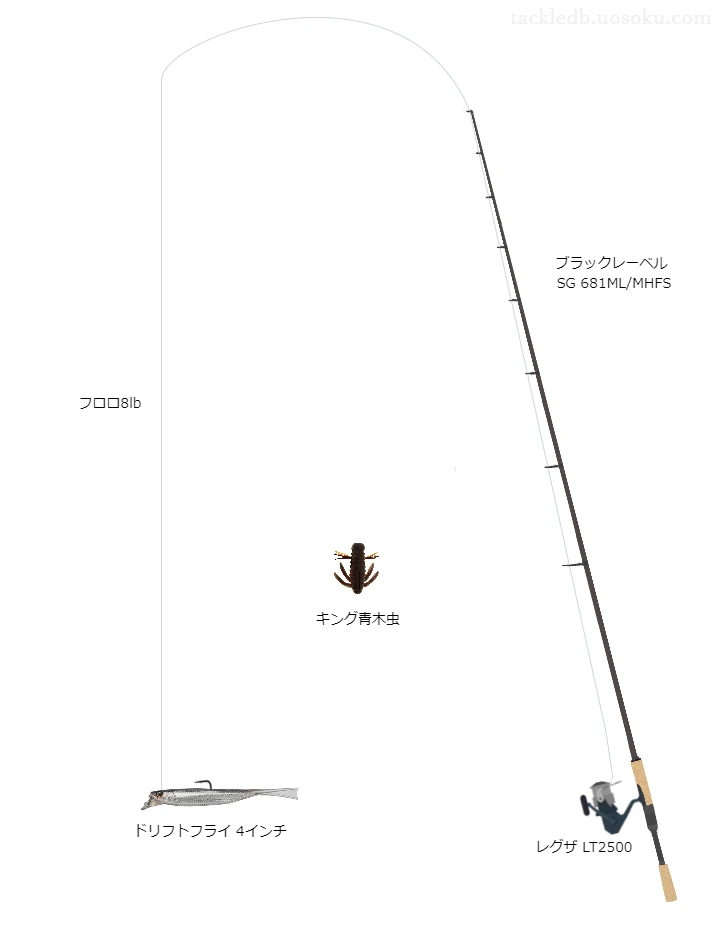 バス釣りに関するタックル、仕掛け図解