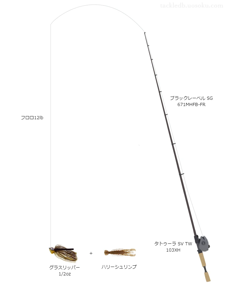 バス釣りに関するタックル、仕掛け図解