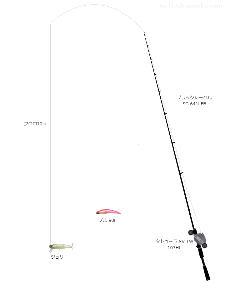 バス釣りに関するタックル、仕掛け図解