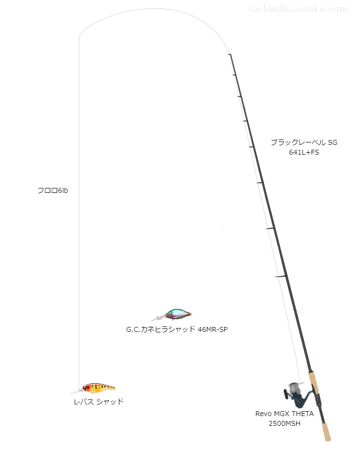 バス釣りに関するタックル、仕掛け図解