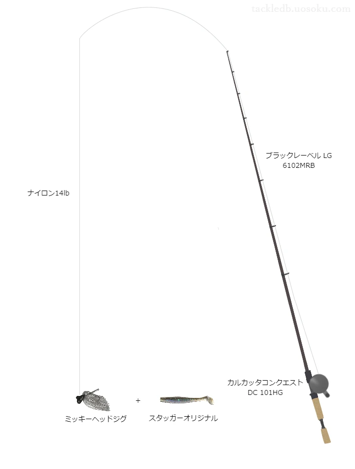 【熊沢溜池】ミッキーヘッドジグのためのバス釣りタックル【ブラックレーベルLG6102MRB】