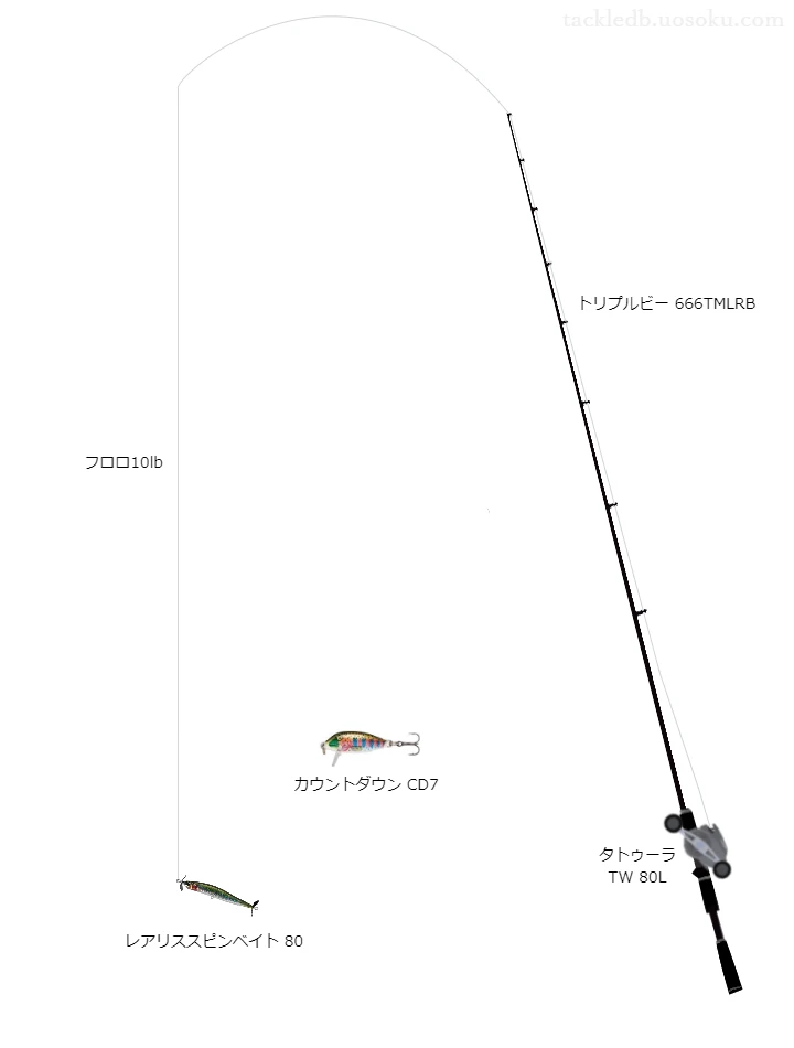 レアリススピンベイト80のためのバス釣りタックル。ダイワのロッドとダイワのリール