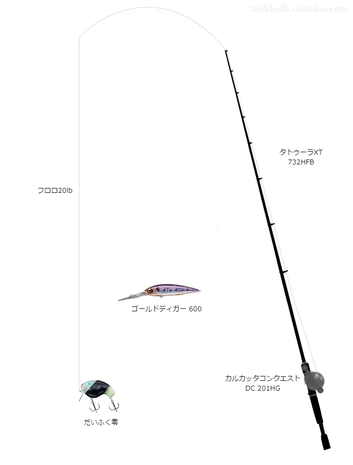 バスザイルマジックハードR20lbをカルカッタコンクエストDC201HGと共に使用したバスタックル【仮想インプレ】