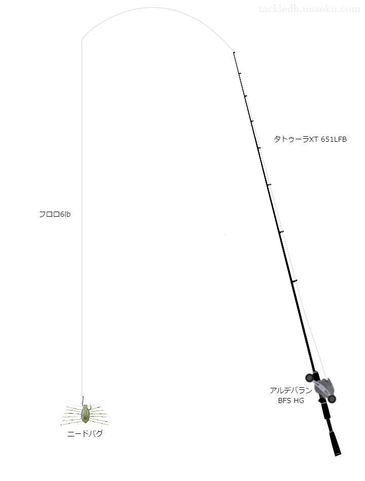 タトゥーラXT651LFBとアルデバランBFSHGRIGHT及びニードバグノーシンカーリグによるバス釣りタックル