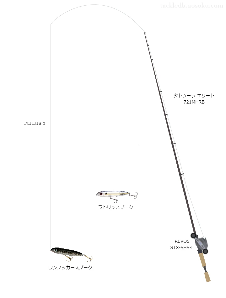 バス釣りに関するタックル、仕掛け図解