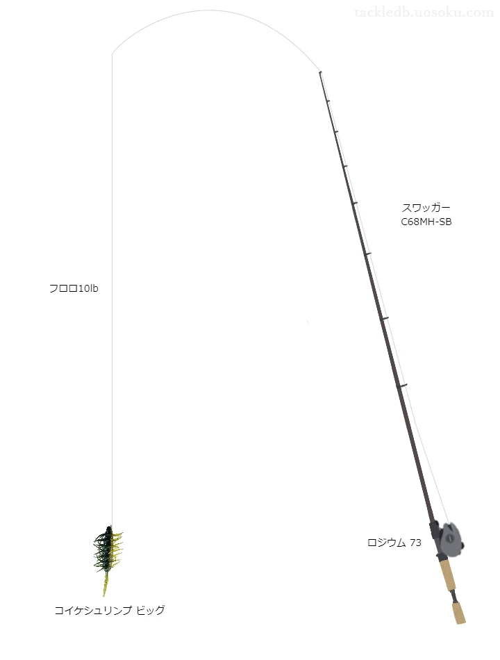 コイケシュリンプビッグのためのバス釣りタックル。ダイワのロッドとメガバスのリール