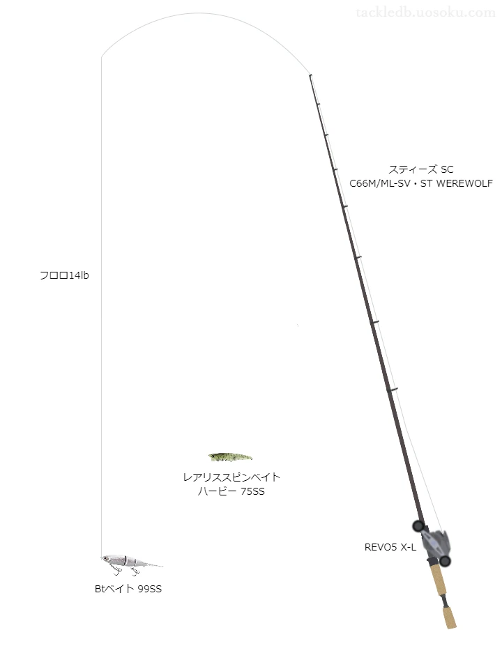 バス釣りに関するタックル、仕掛け図解