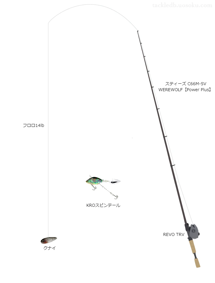 バス釣りに関するタックル、仕掛け図解