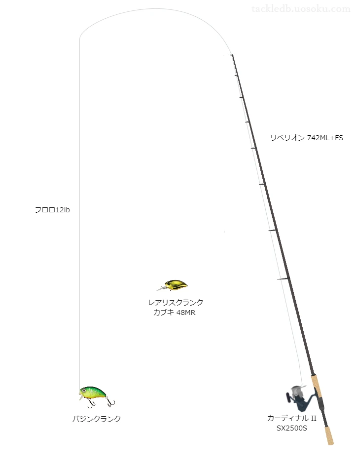 バス釣りに関するタックル、仕掛け図解