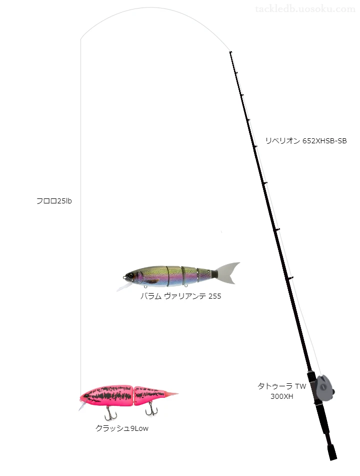 バス釣りに関するタックル、仕掛け図解