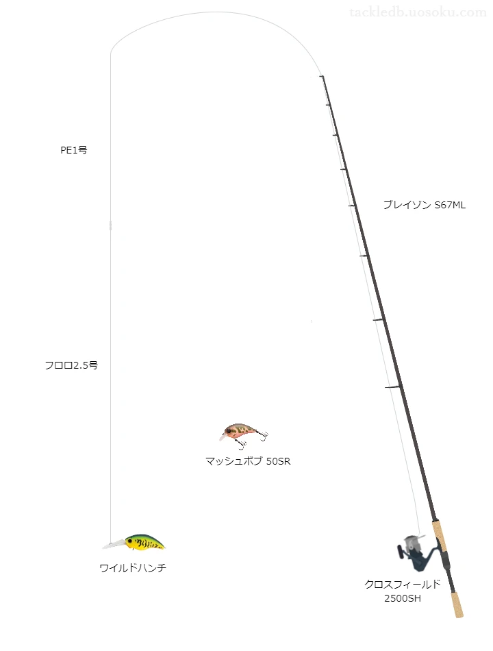 ワイルドハンチのためのバス釣りタックル【クランクベイト】