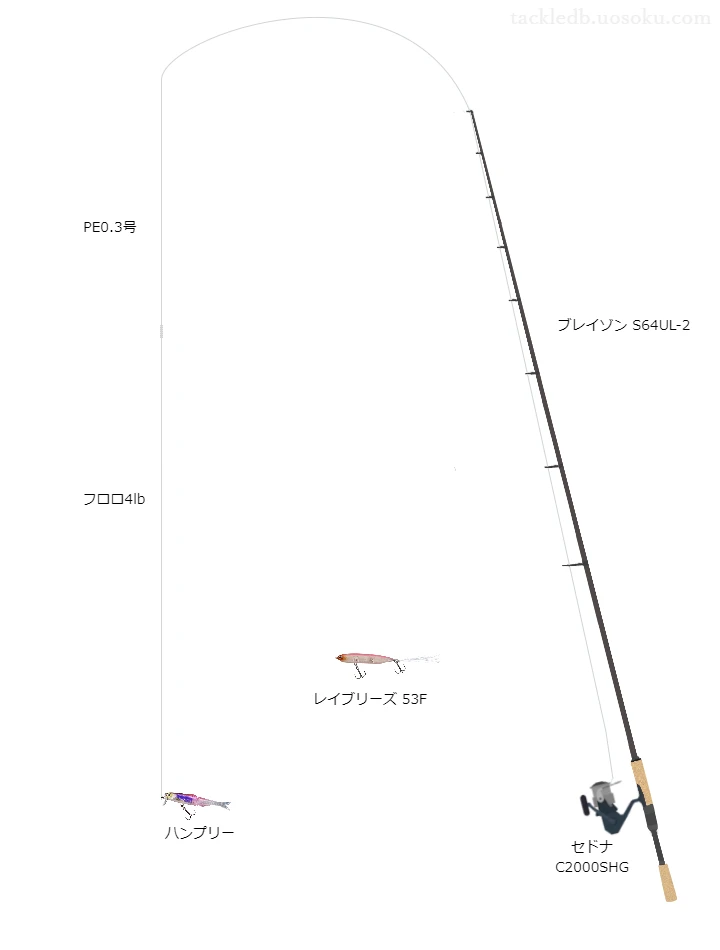 バス釣りに関するタックル、仕掛け図解