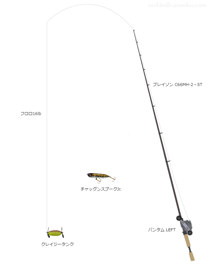 バス釣りに関するタックル、仕掛け図解