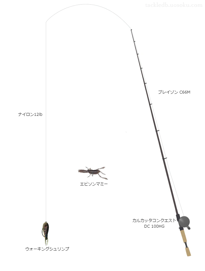 ブレイゾンC66MとカルカッタコンクエストDC100HGの組合せによるバスタックル【仮想インプレ】