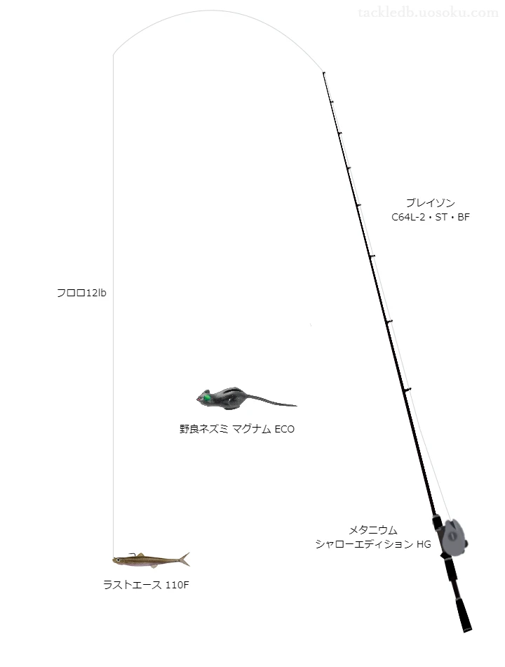 ダイワのロッドとシマノのリールでラストエース110Fを使うバスタックル。【石土池】