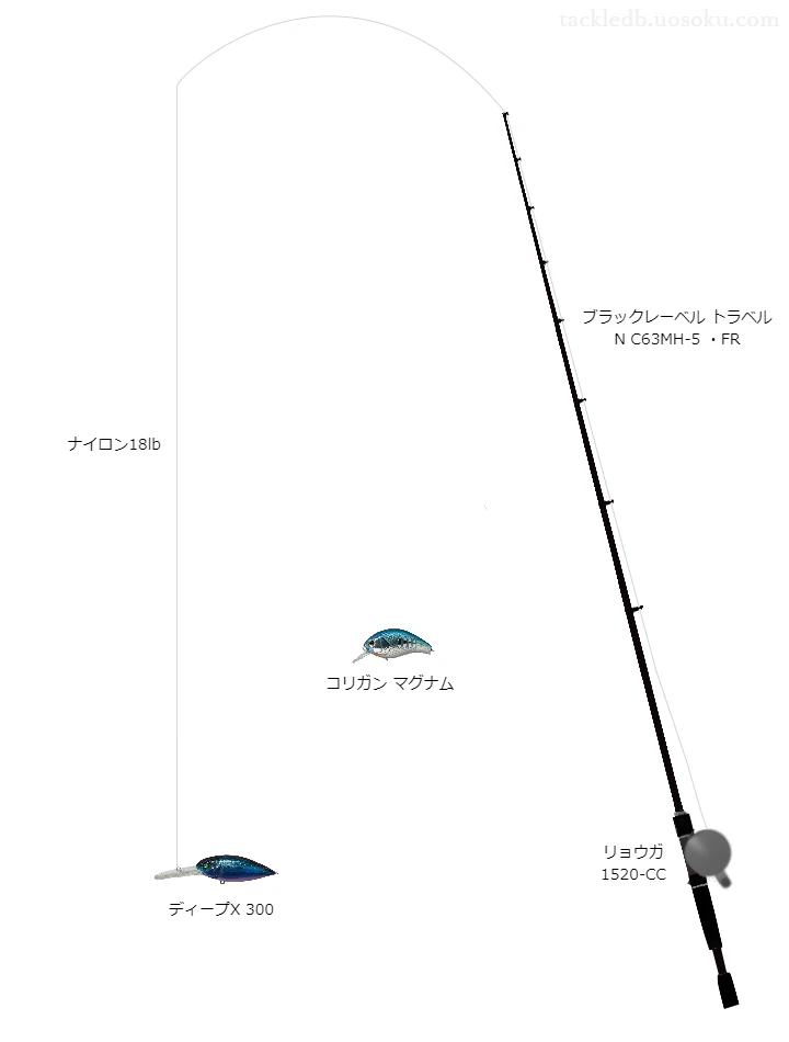 バス釣りに関するタックル、仕掛け図解