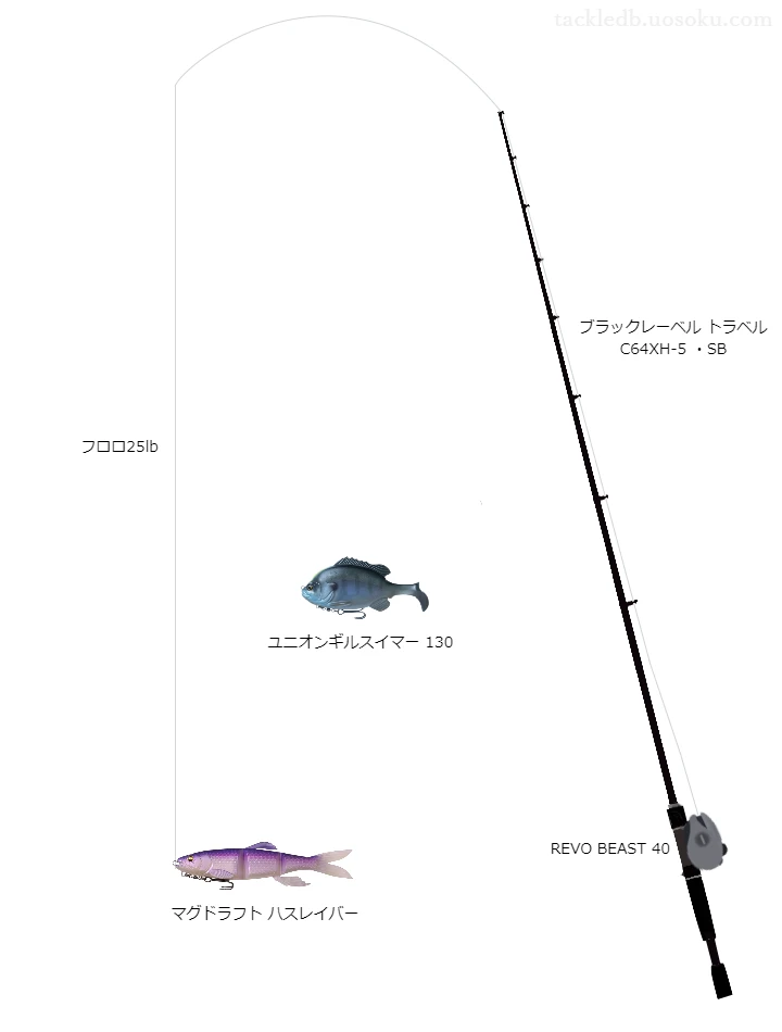 バス釣りに関するタックル、仕掛け図解