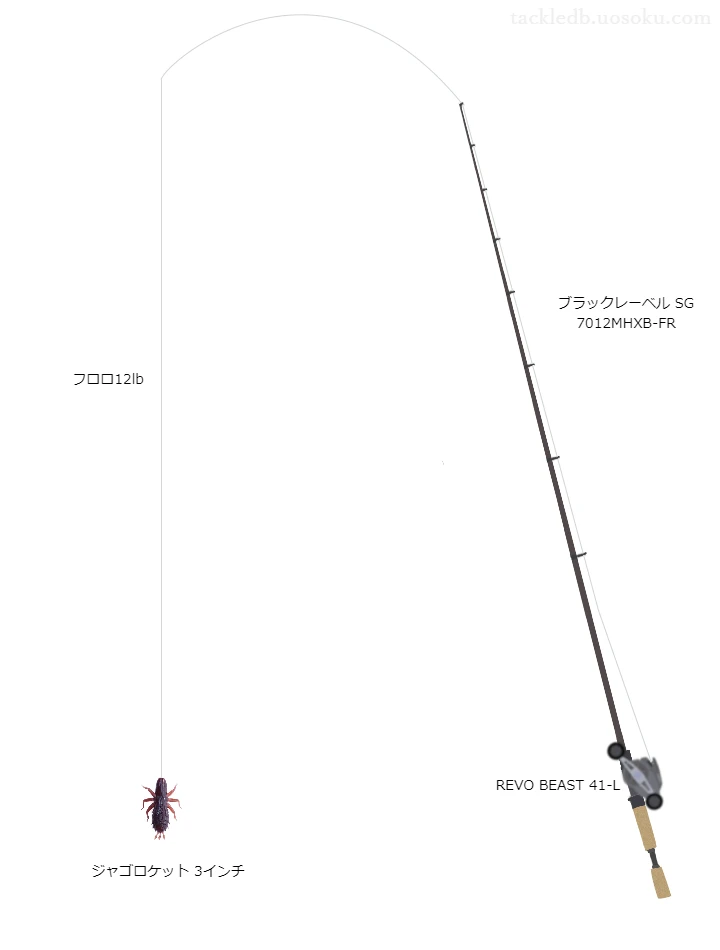 バス釣りに関するタックル、仕掛け図解