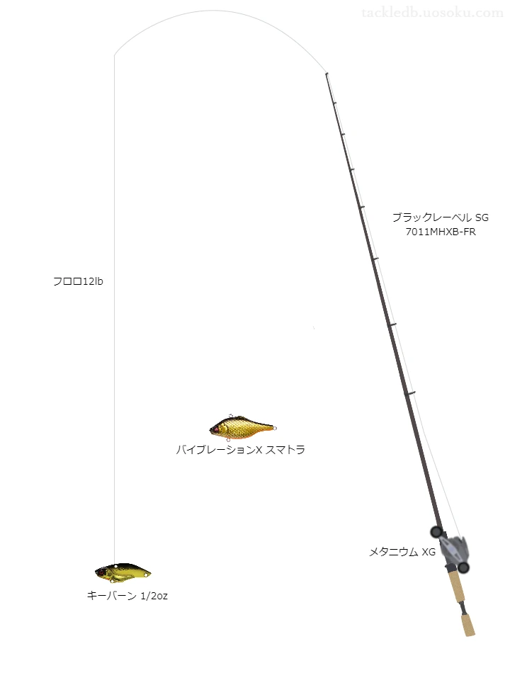 キーバーン1/2ozのためのバス釣りタックル。ダイワのロッドとシマノのリール