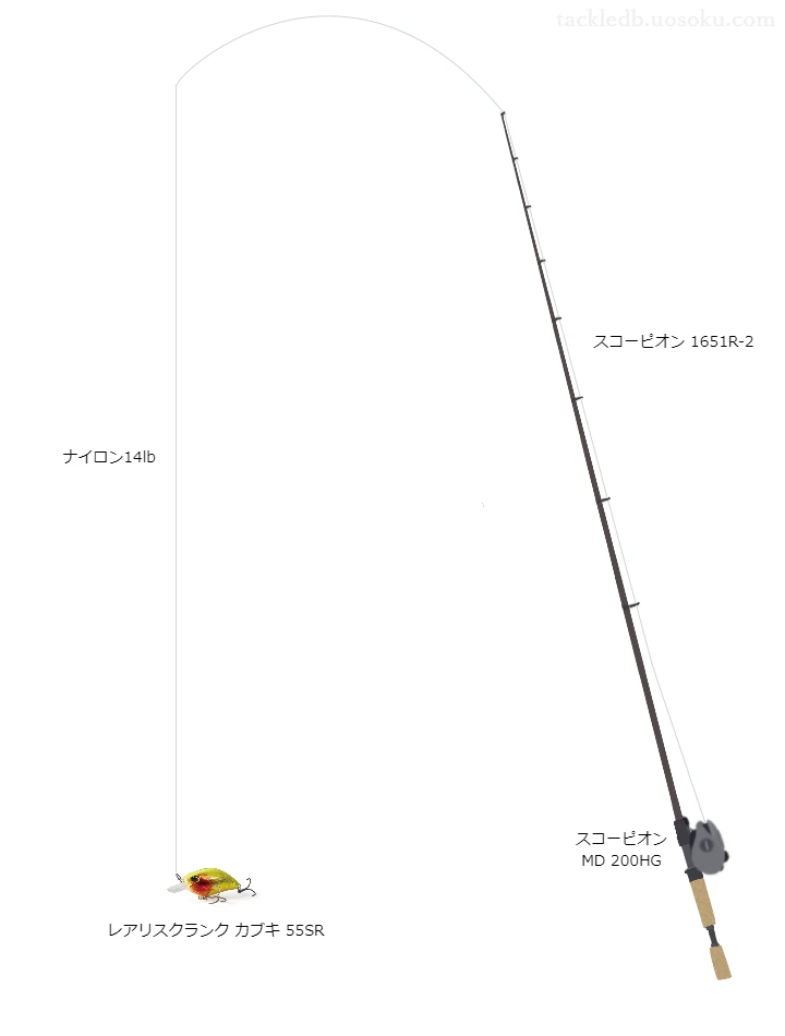 バス釣りに関するタックル、仕掛け図解