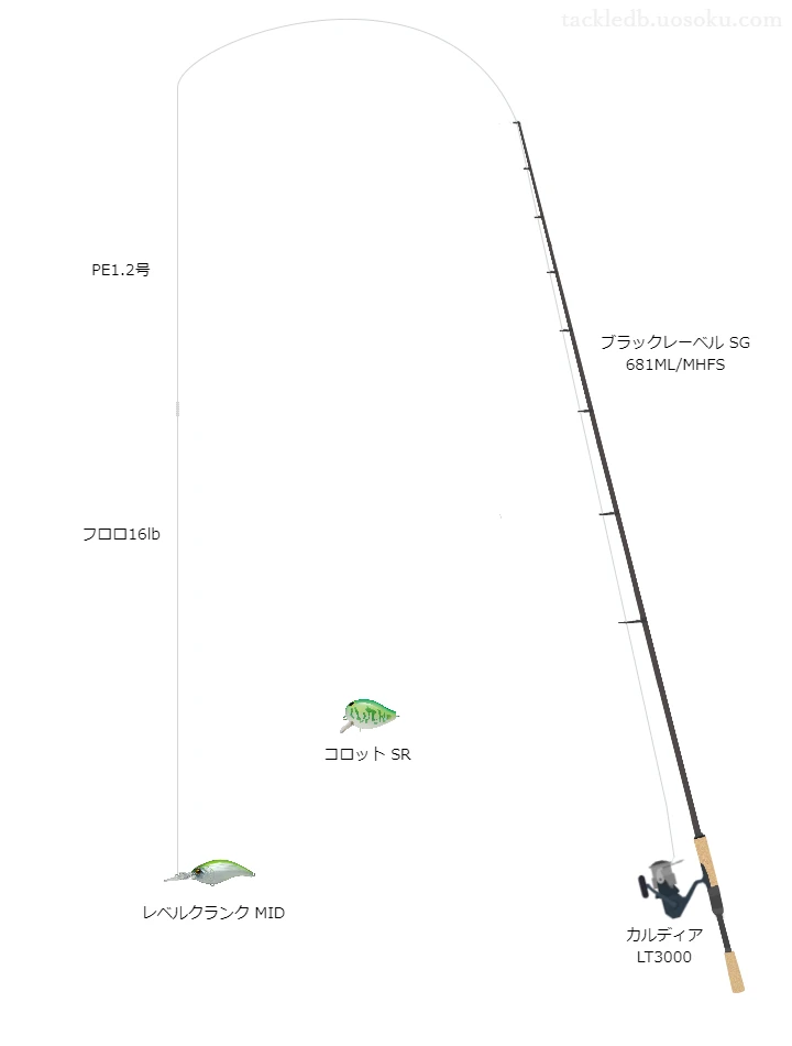 バス釣りに関するタックル、仕掛け図解