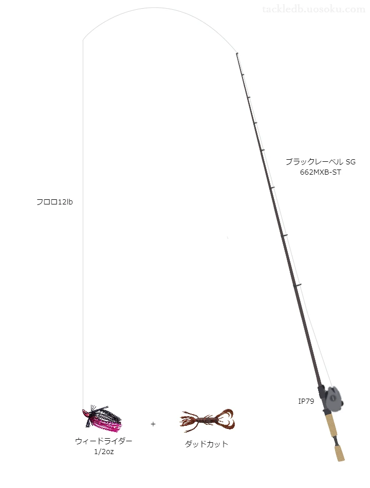 バス釣りに関するタックル、仕掛け図解