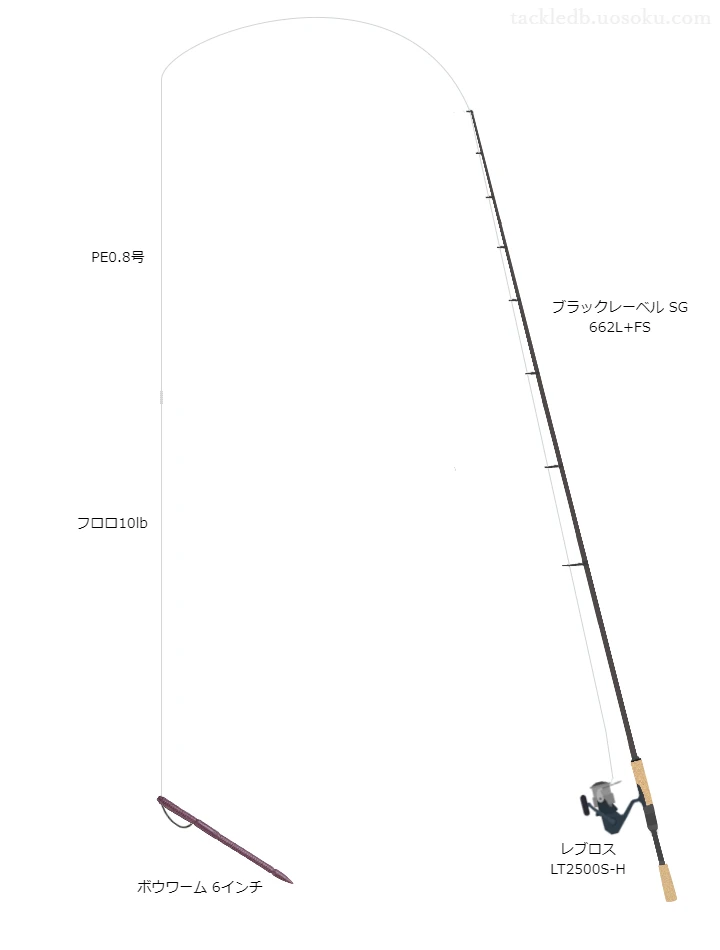 バス釣りに関するタックル、仕掛け図解