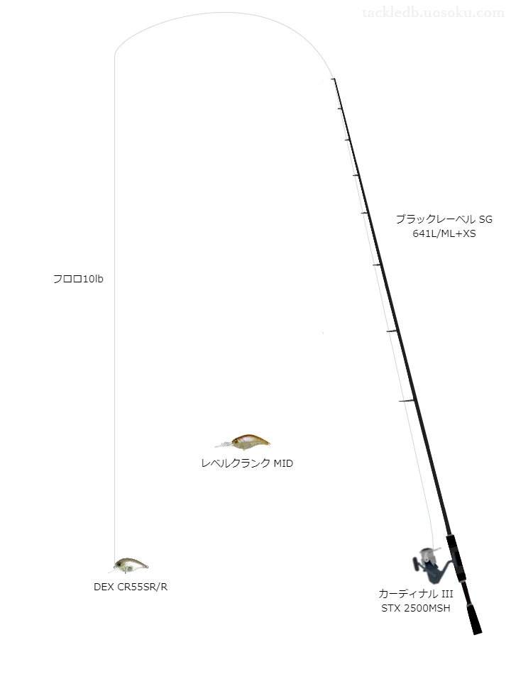 バスザイルマジックハードR10lbをカーディナルIIISTX2500MSHと共に使用したバスタックル【仮想インプレ】