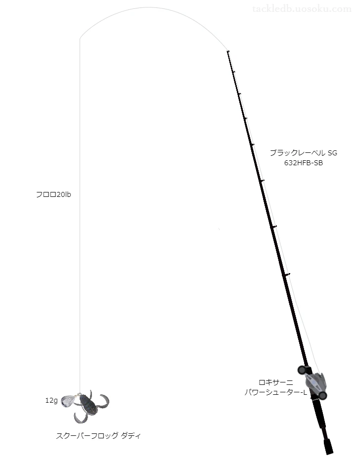 バス釣りに関するタックル、仕掛け図解