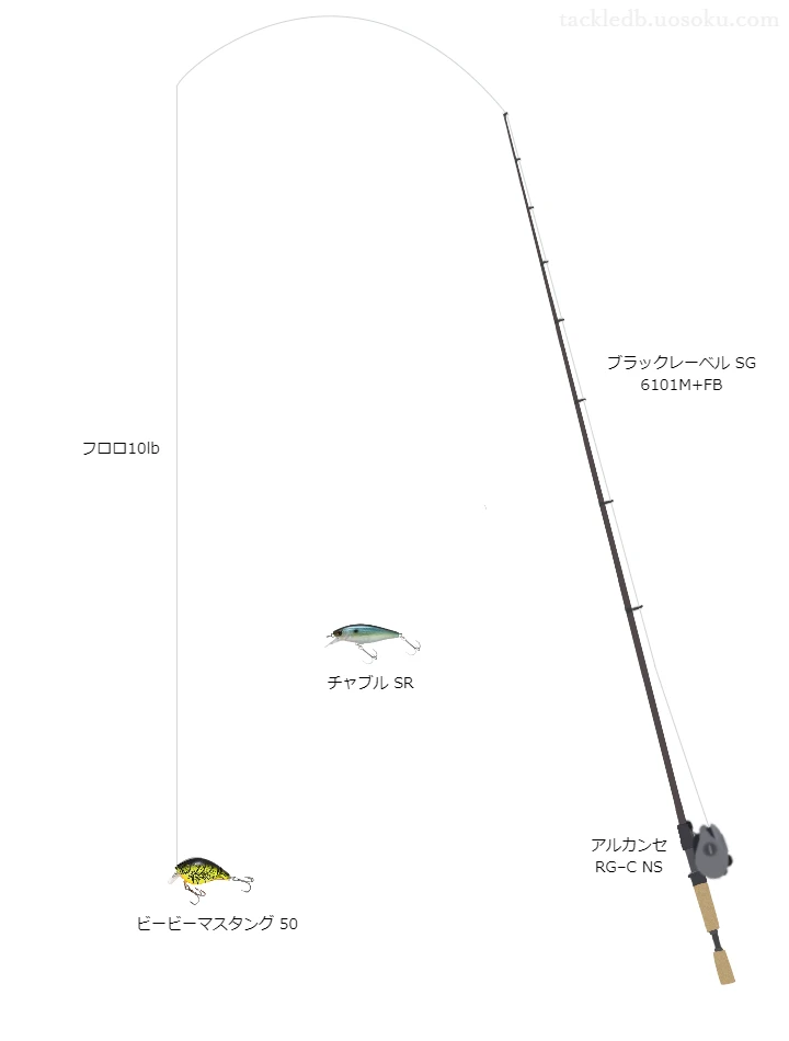 バス釣りに関するタックル、仕掛け図解