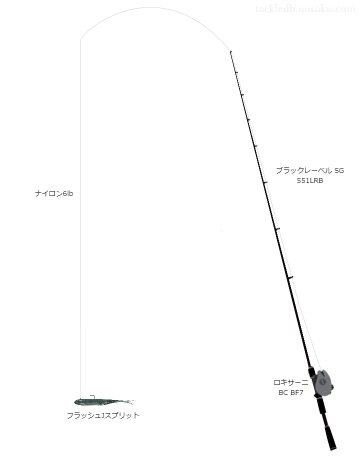 バス釣りに関するタックル、仕掛け図解