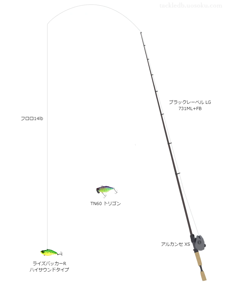 バス釣りに関するタックル、仕掛け図解