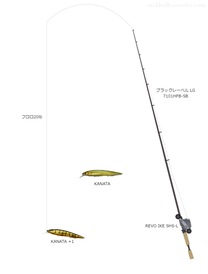 バス釣りに関するタックル、仕掛け図解