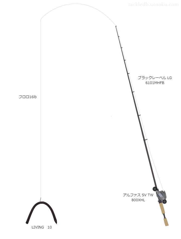 LIVING10ネコリグのためのバス釣りタックル。ダイワのロッドとダイワのリール