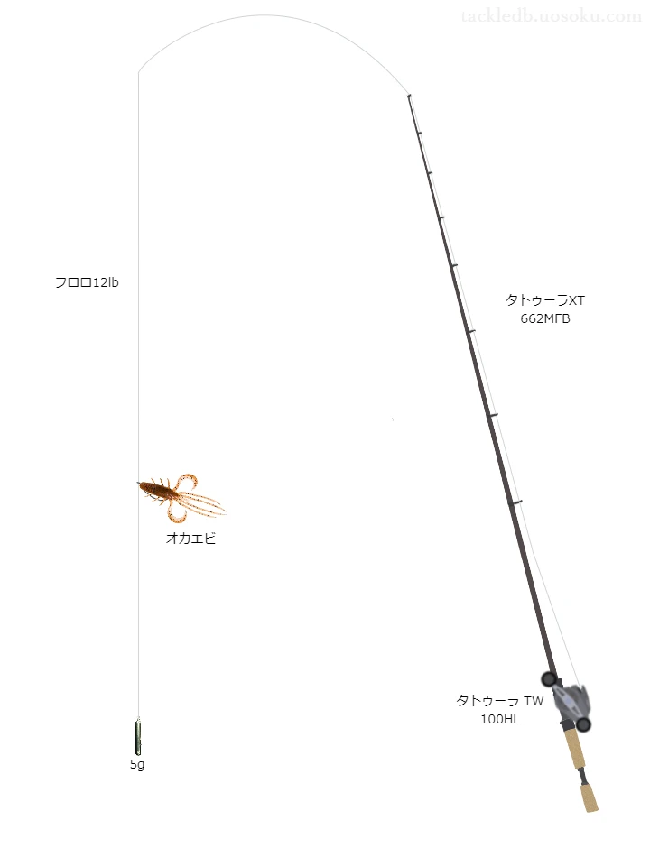 バス釣りに関するタックル、仕掛け図解