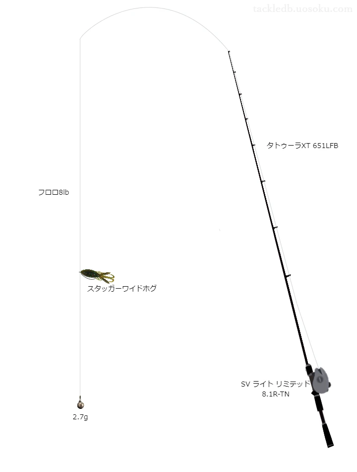 バス釣りに関するタックル、仕掛け図解