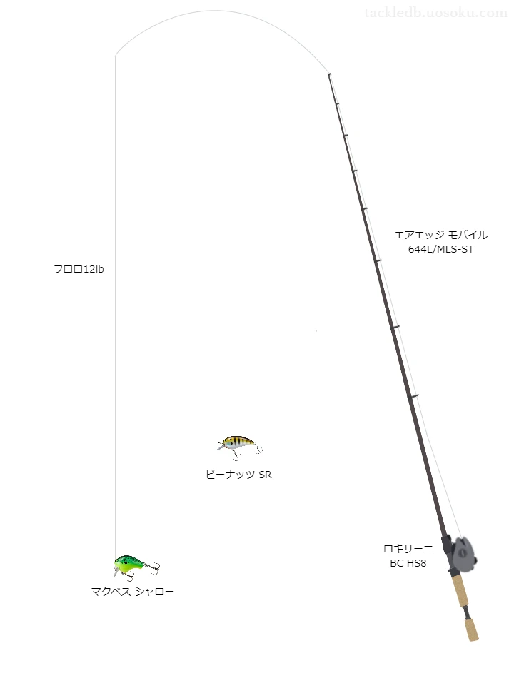 バス釣りに関するタックル、仕掛け図解