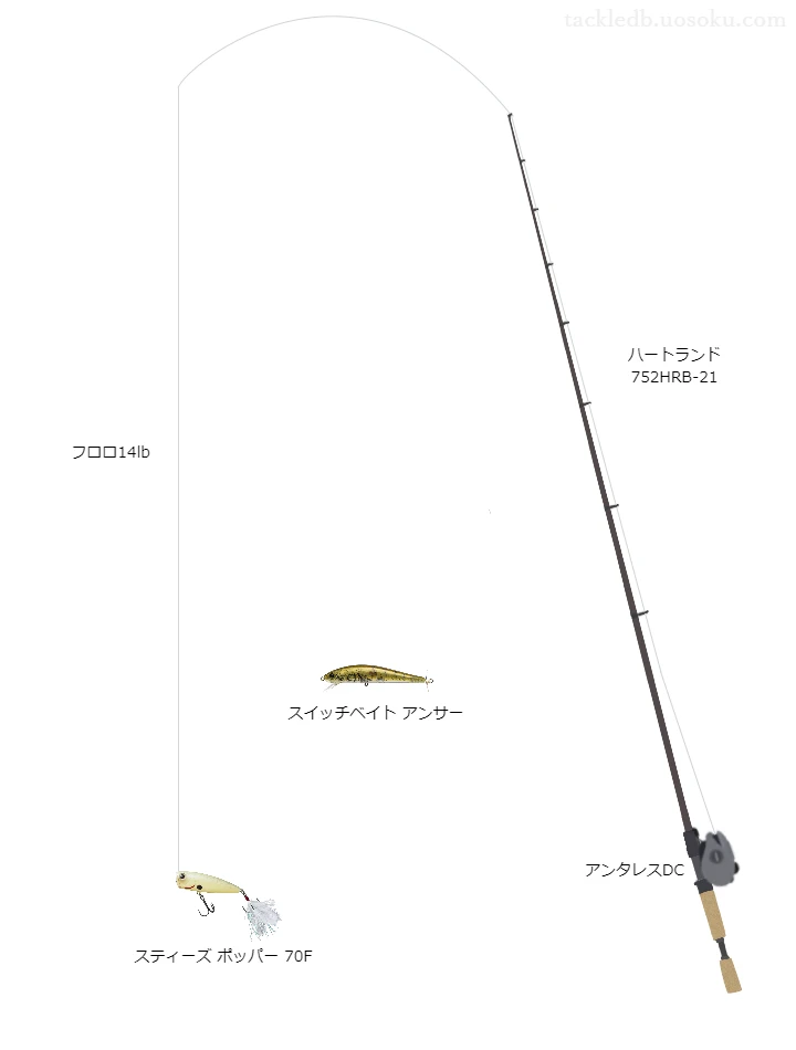 バス釣りに関するタックル、仕掛け図解