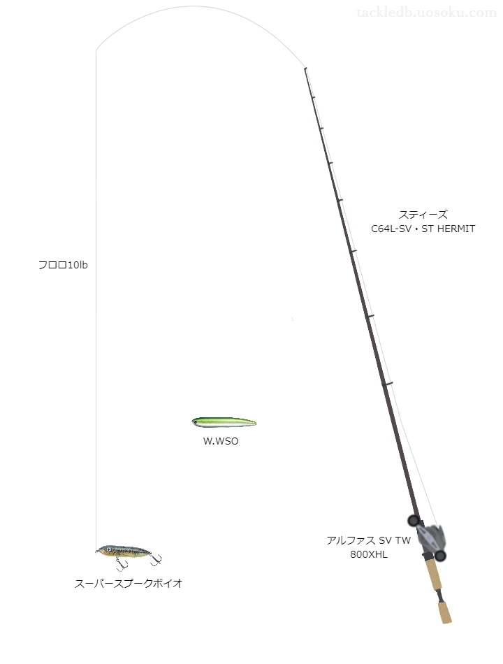 バス釣りに関するタックル、仕掛け図解