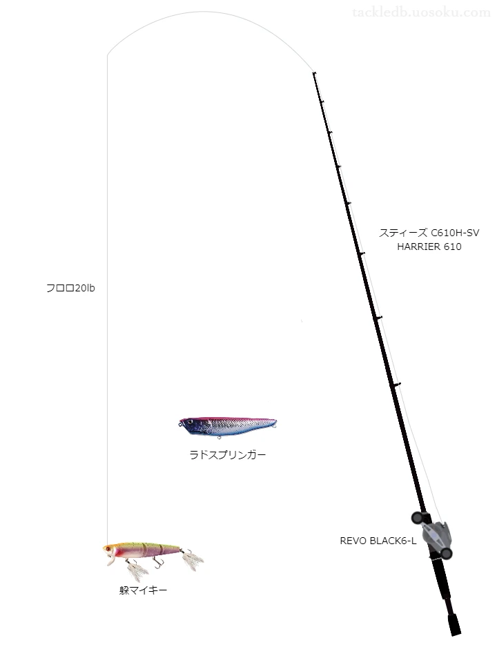 ダイワのロッドとアブガルシアのリールで躱マイキーを使うバスタックル。【伊豆沼】