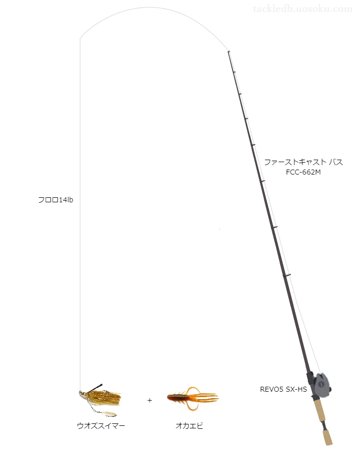 バス釣りに関するタックル、仕掛け図解