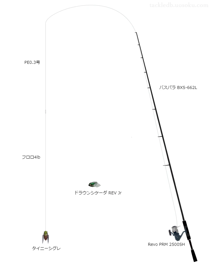 バス釣りに関するタックル、仕掛け図解